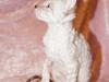 Cornish Rex DK Felis-Schwencke Daisy