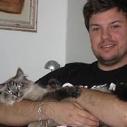 Blanding af racer Mille