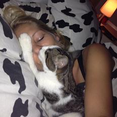 Blanding af racer Sofus