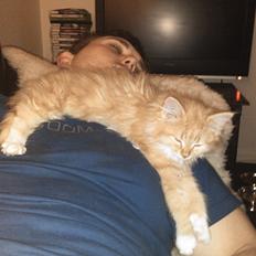 Blanding af racer Elvira