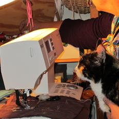 Huskat Trunte missen