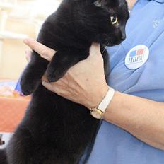 Europé DK*Boholdt Emma Gad