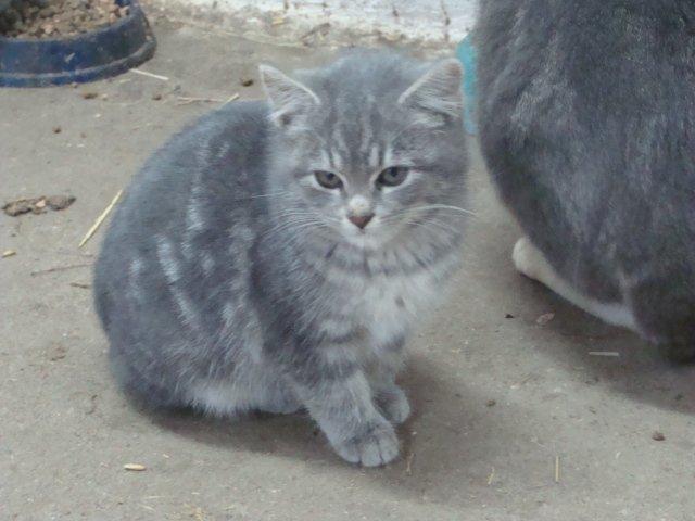 Huskat Ooops! A Minnie Girl *SOLGT* billede 11