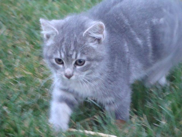 Huskat Ooops! A Minnie Girl *SOLGT* billede 13