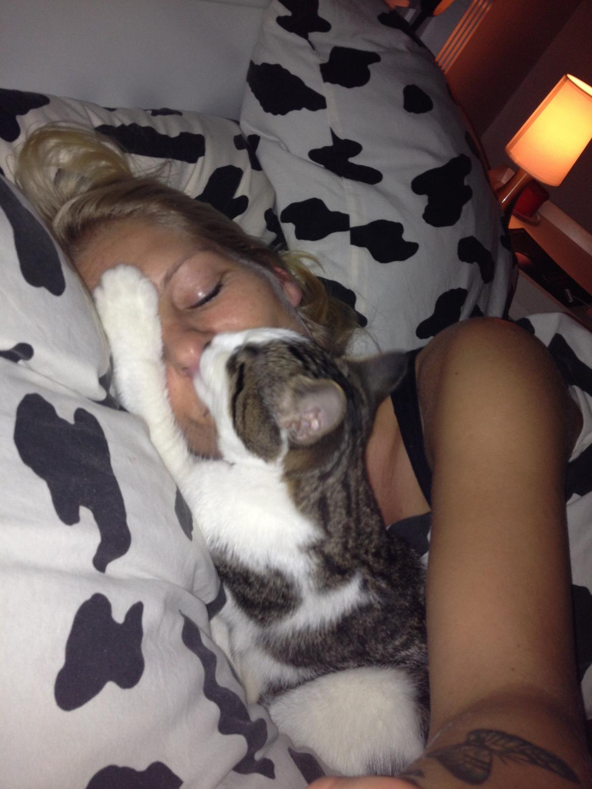 Blanding af racer Sofus - Moar vi skal altså ikke sove nu :) billede 1