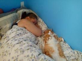 Huskat Simba billede 11