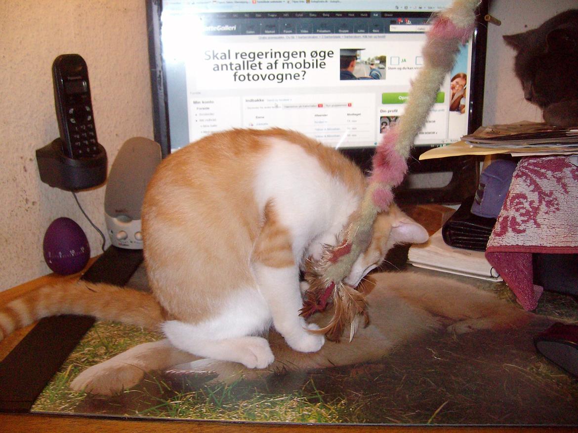 Huskat Jordbær - Sjov drille pind  billede 8