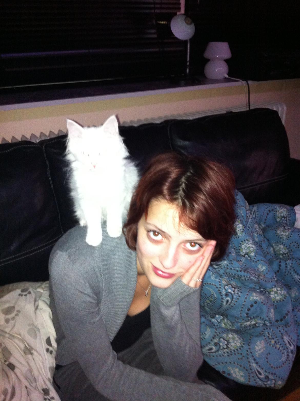 Blanding af racer Angel billede 11