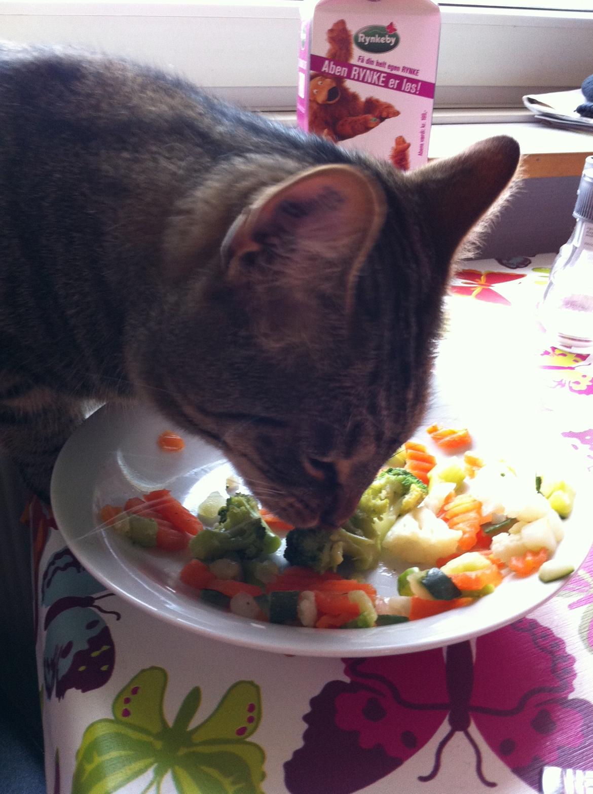 Huskat Pelle - jeg kan godt lide grønsager de skal bare spises af en tallerken :D <3  billede 15