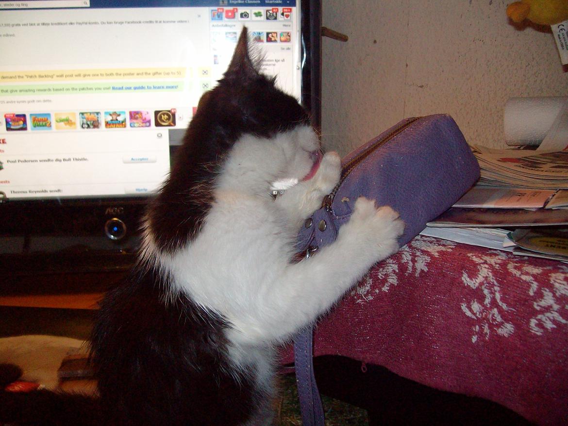 Huskat Benjamin - Jeg vil også kunne skrive smser så tror bare jeg tager farmors mobil haha :D billede 3