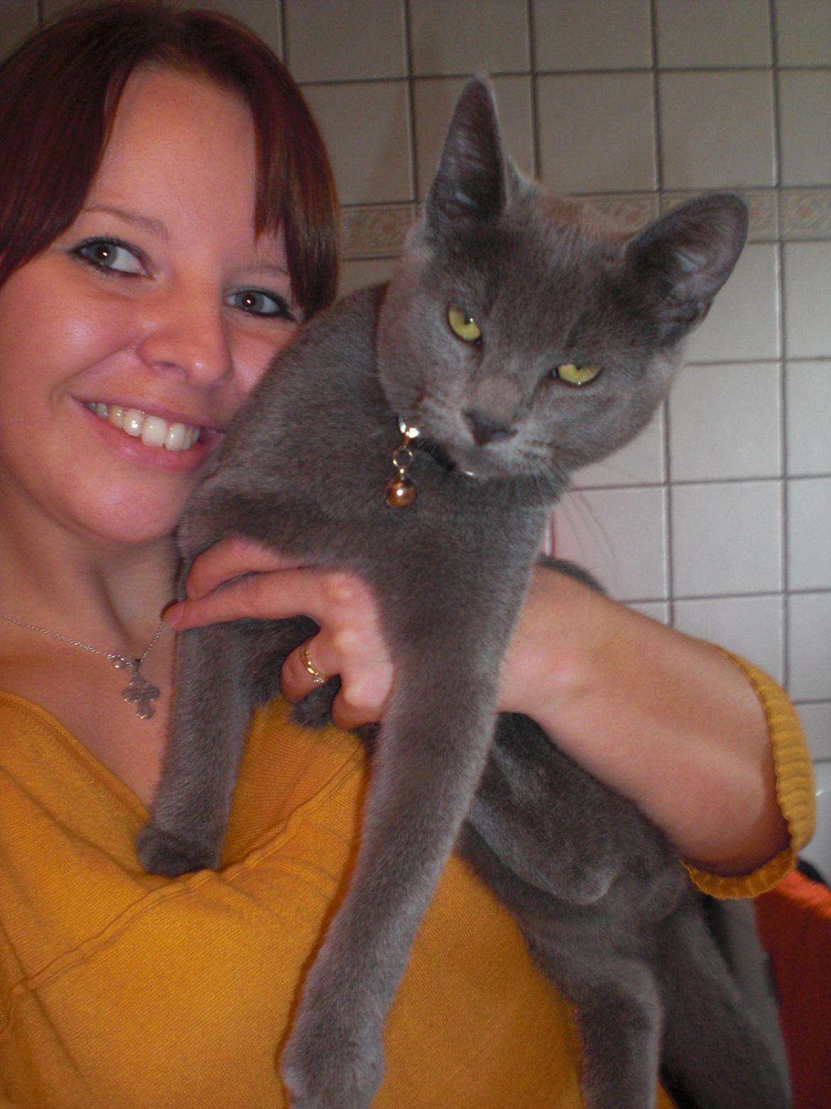 Blanding af racer Kovu - Oktober 2012 billede 15