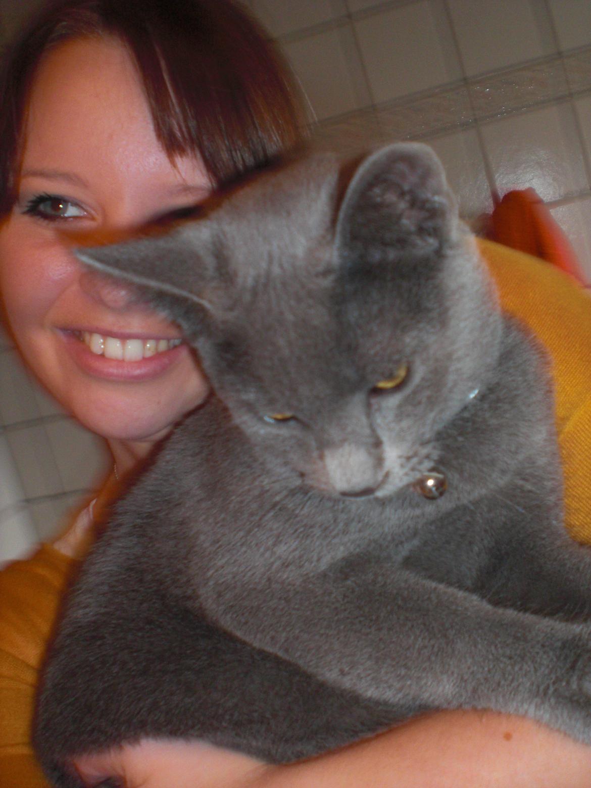 Blanding af racer Kovu - Oktober 2012 billede 16