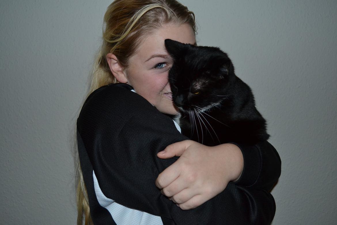 Huskat Sylvester billede 3