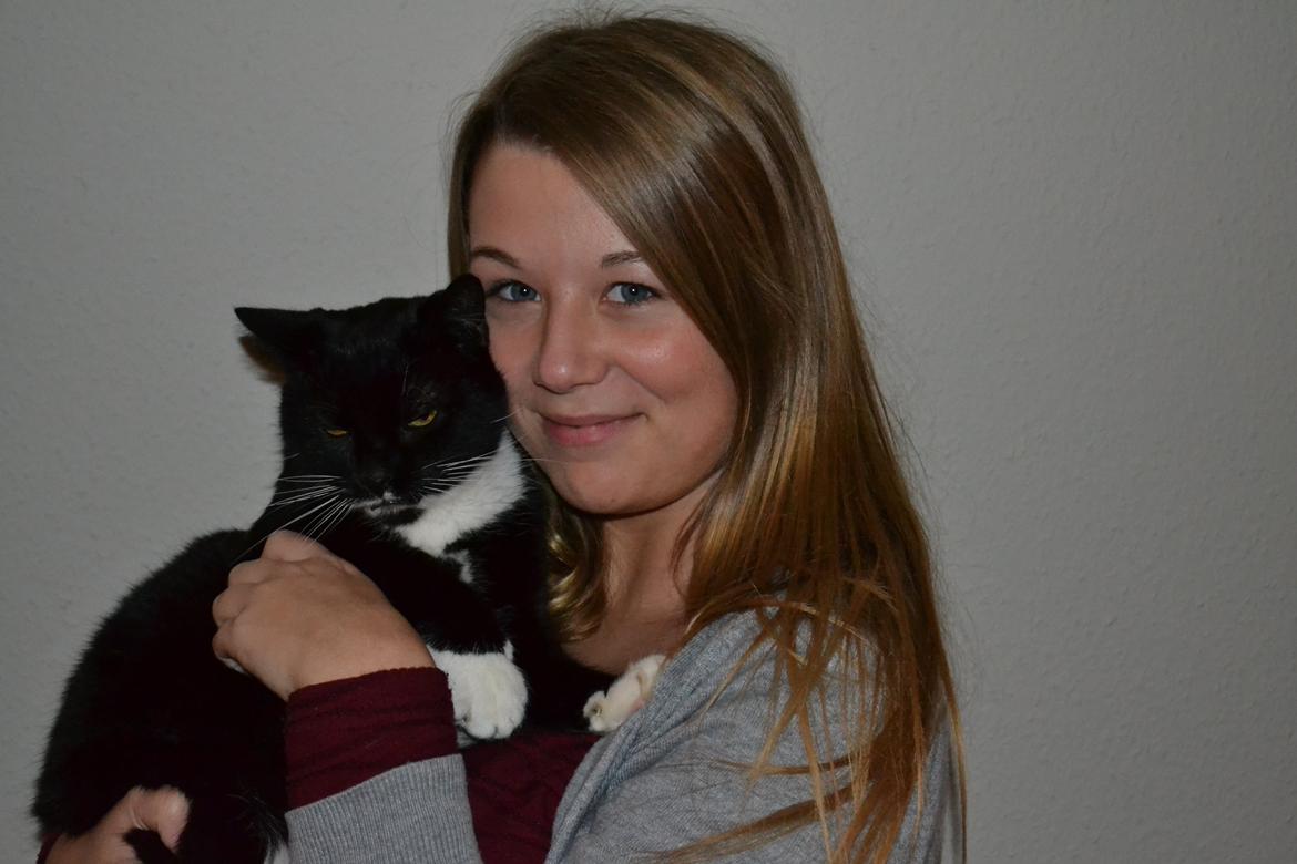 Huskat Sylvester billede 4