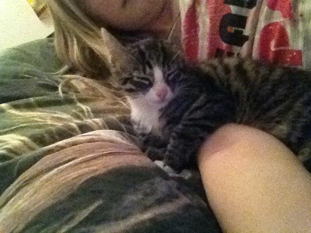 Huskat Felix billede 7