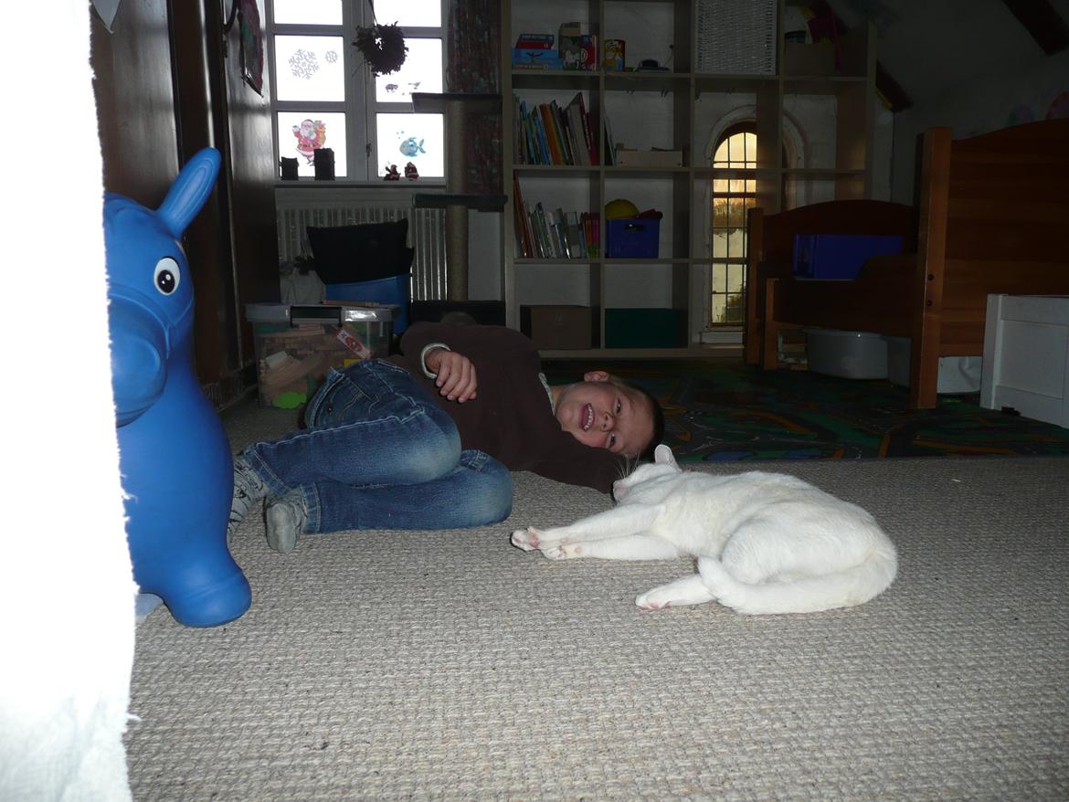 Blanding af racer Athena billede 4