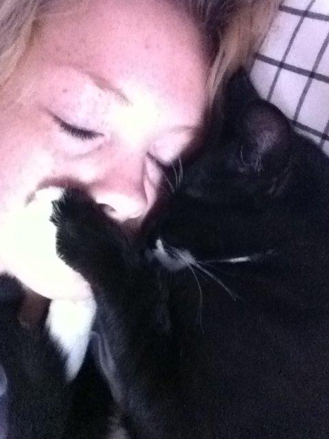 Huskat Hubert - Det er så hyggeligt når Hubert kommer og putter ! billede 7