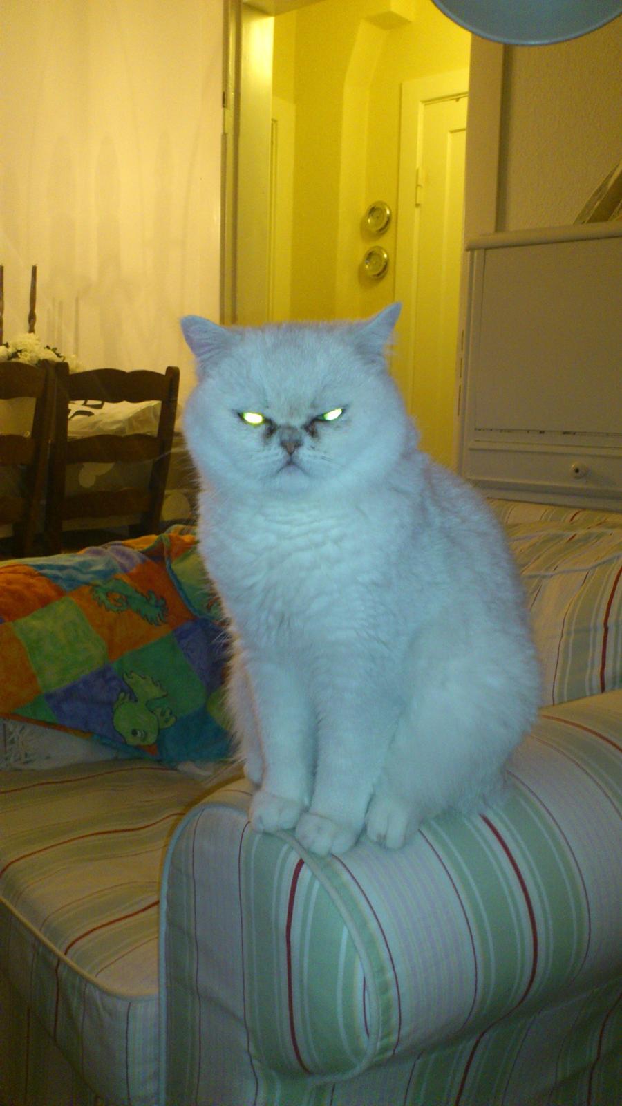 Exotic Vinzent Von Gørtz billede 1