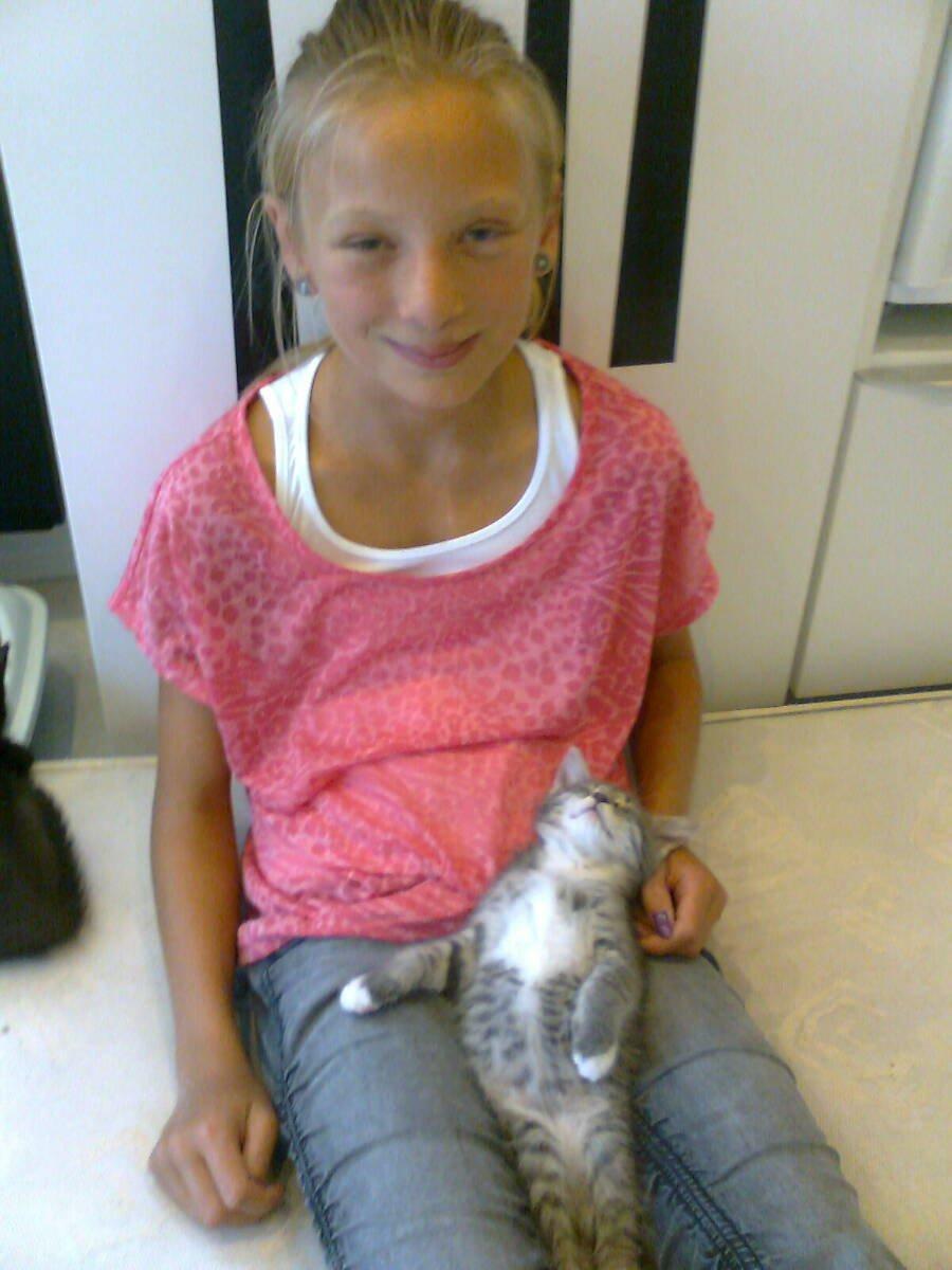 Blanding af racer Molly billede 4