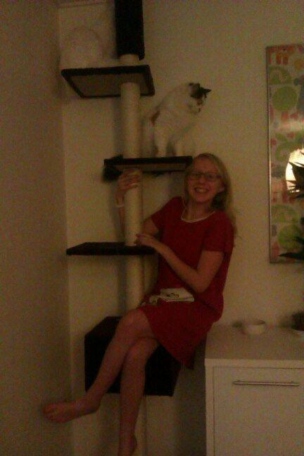 Tyrkisk Van Kebire von Frankenthal - Jeg leger med smisk og bibi!<3 billede 9