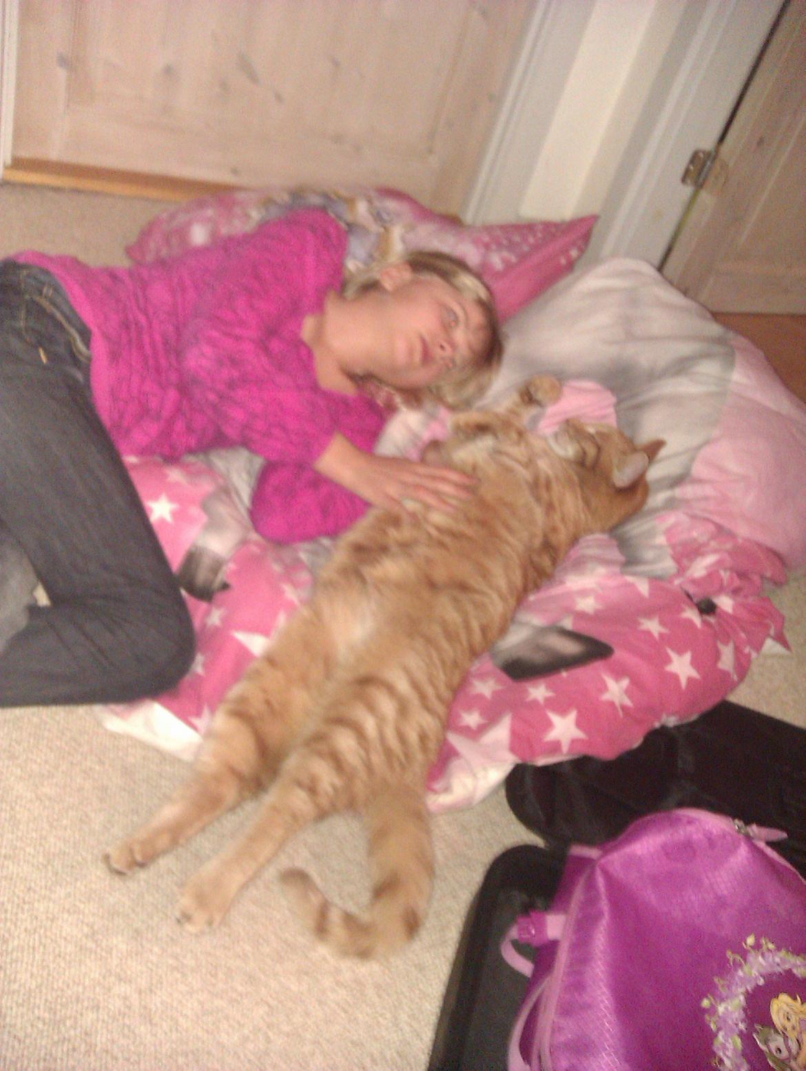 Blanding af racer Garfield - Mig og Garfield billede 16