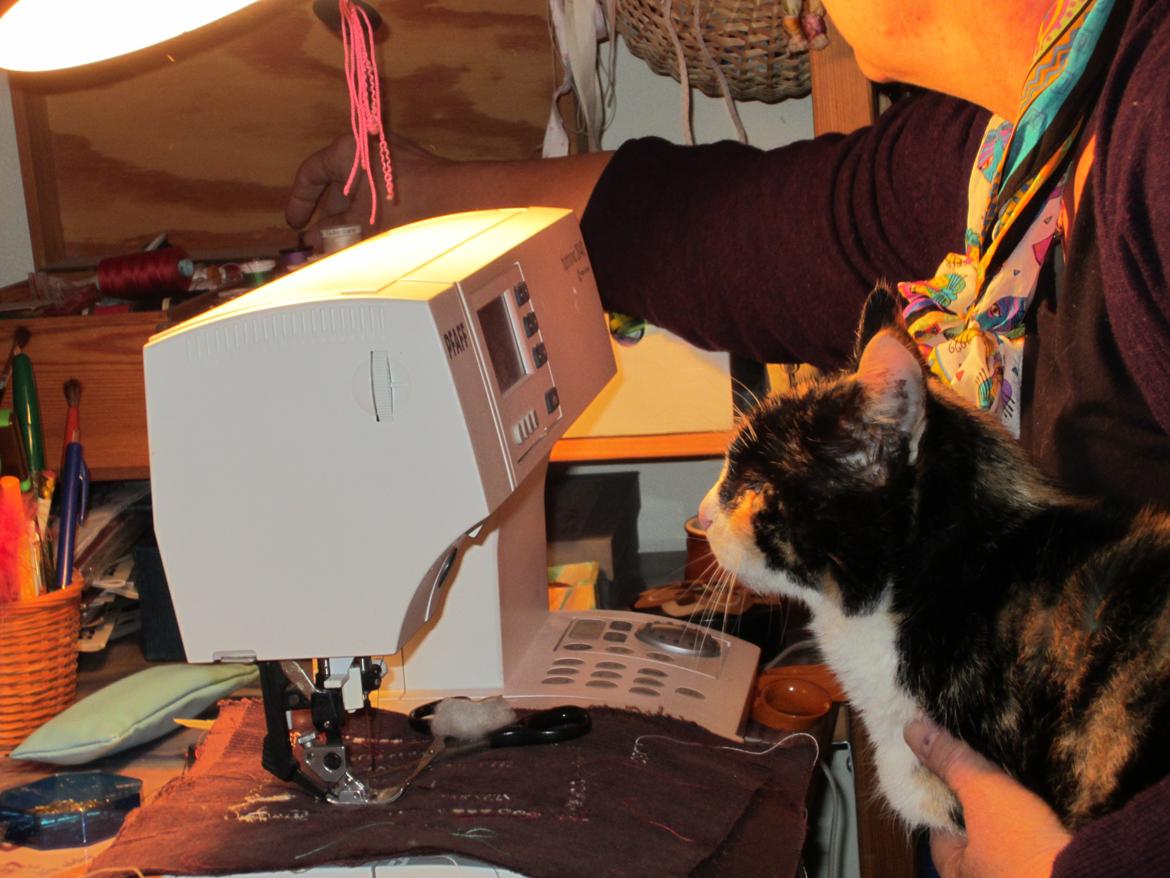 Huskat Trunte missen billede 3