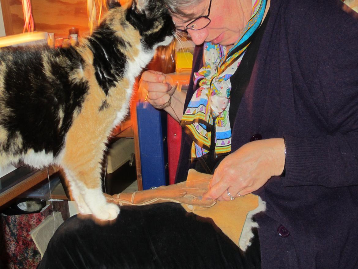 Huskat Trunte missen billede 4