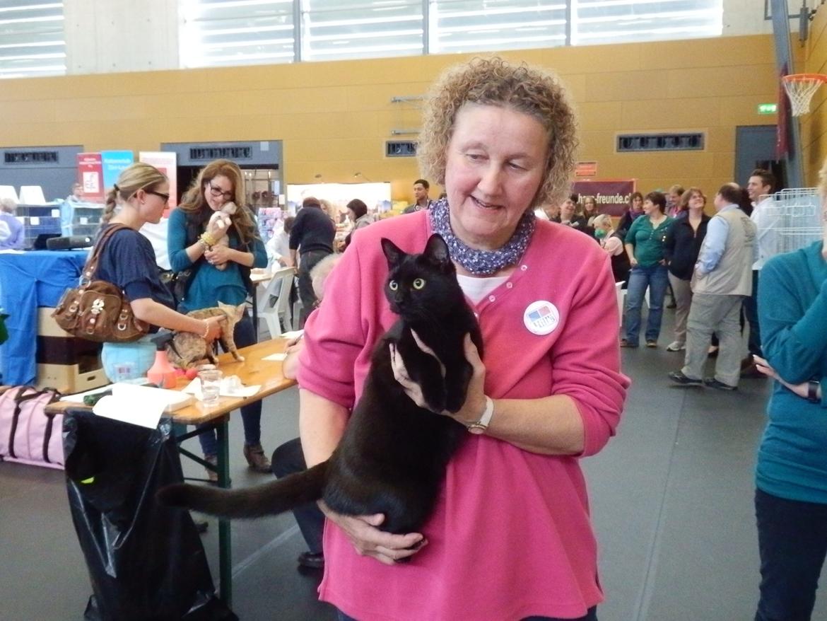 Europé DK*Boholdt Emma Gad billede 7