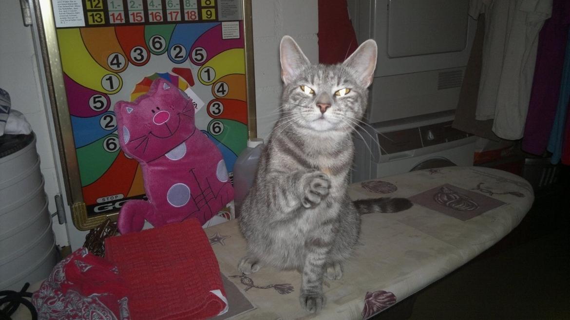 Europé IC. DK*Boholdt Pippi Langströmpe billede 3