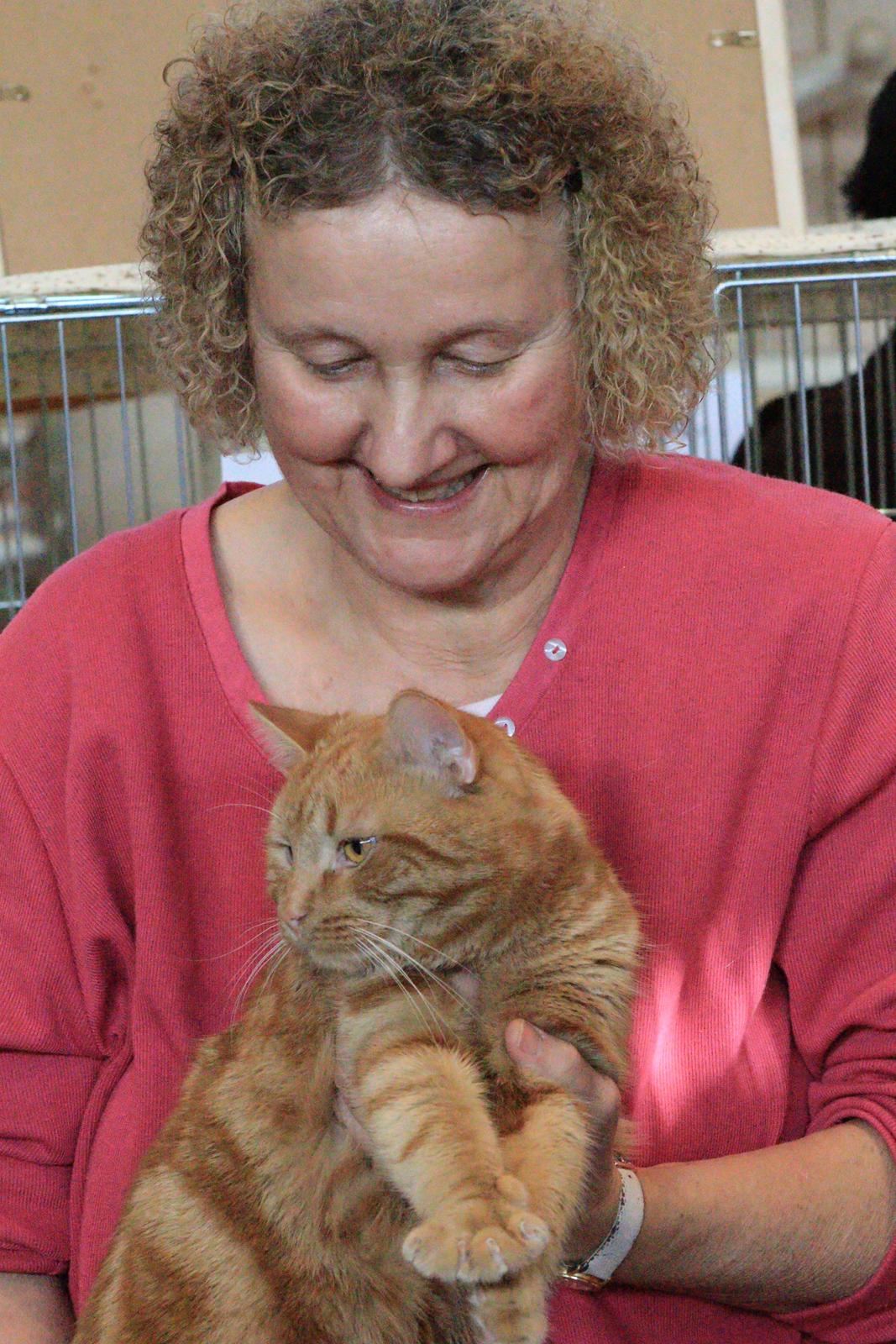 Europé DK*Boholdt Dan Tyrell billede 7