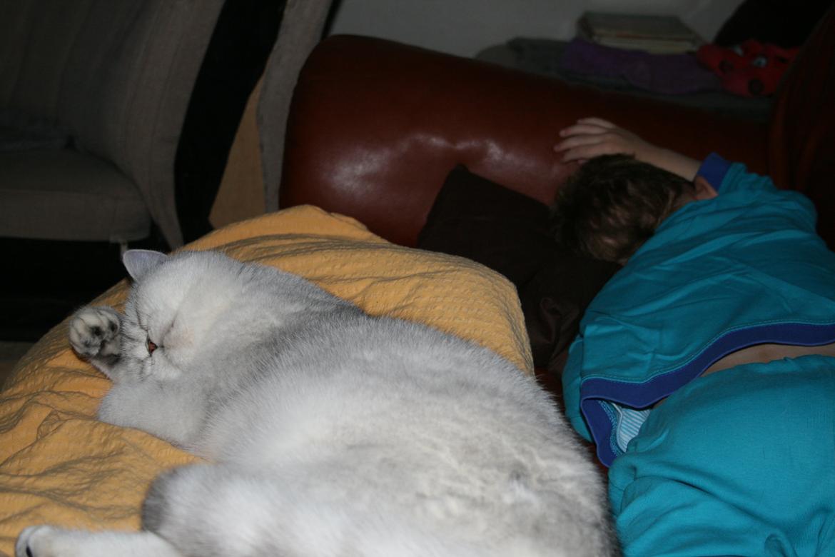 Exotic Odin ( Odin von Gøtrz ) billede 6