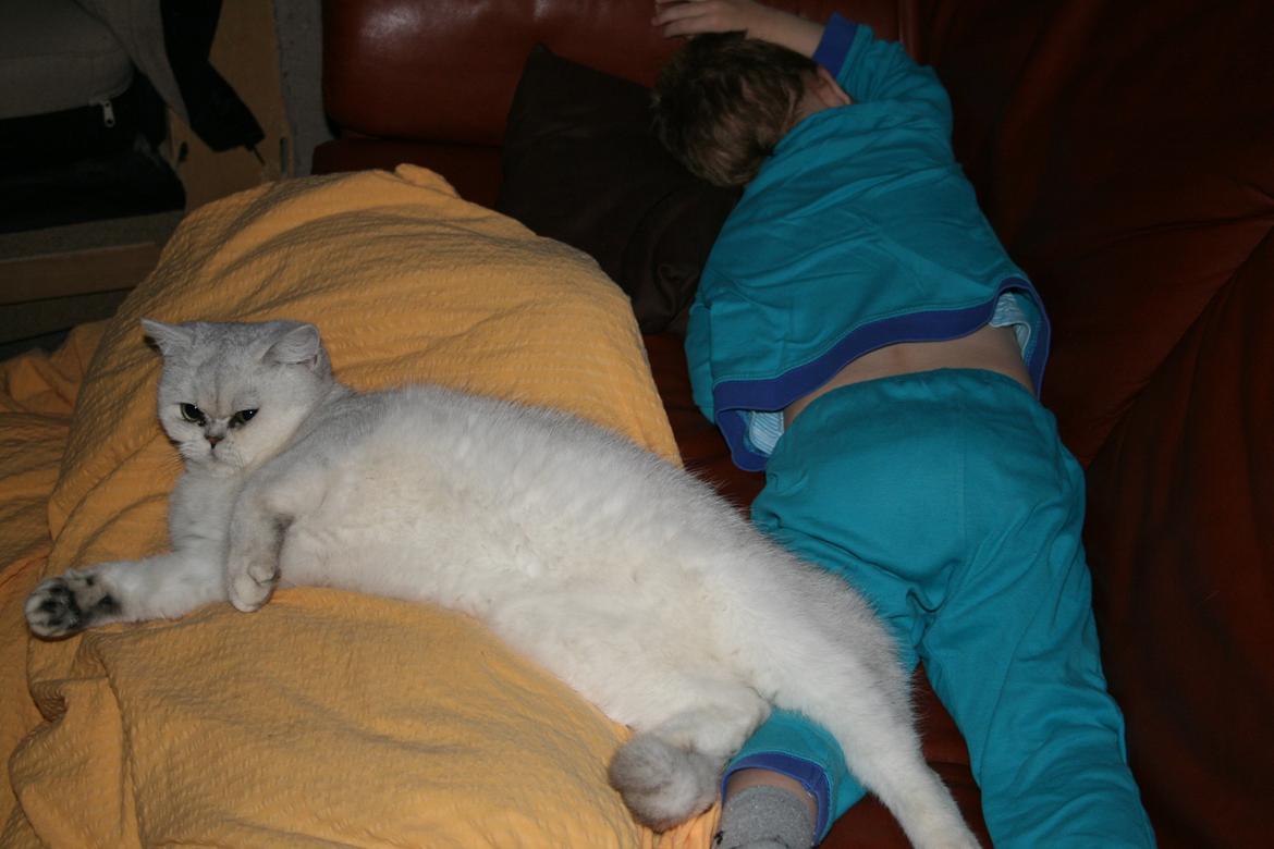 Exotic Odin ( Odin von Gøtrz ) billede 8