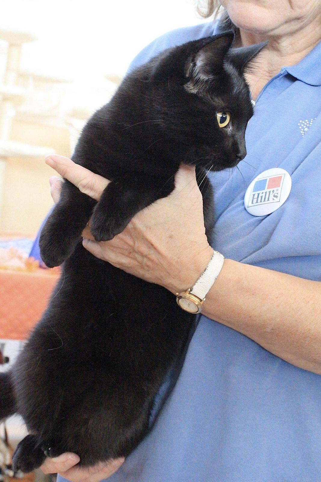 Europé DK*Boholdt Emma Gad billede 2