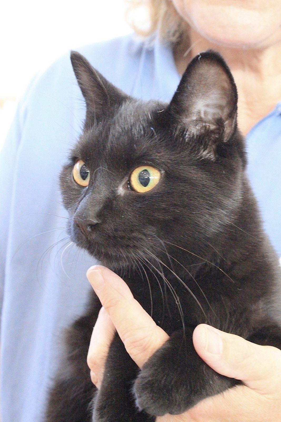 Europé DK*Boholdt Emma Gad billede 3