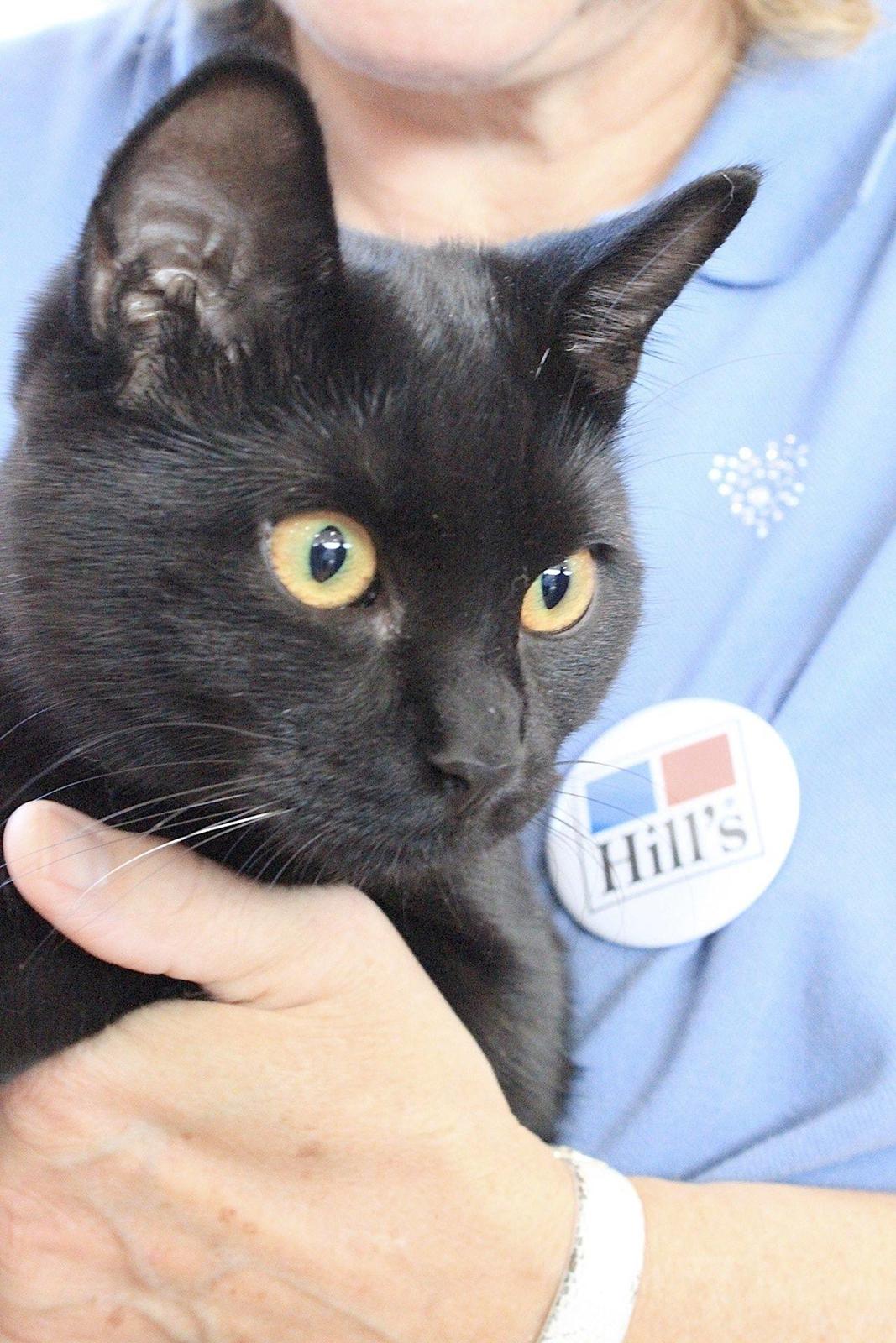 Europé DK*Boholdt Emma Gad billede 4