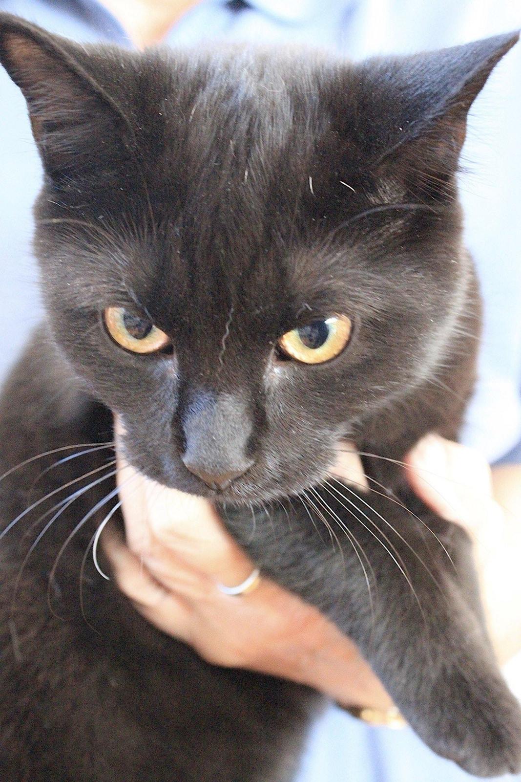 Europé DK*Boholdt Emma Gad billede 5