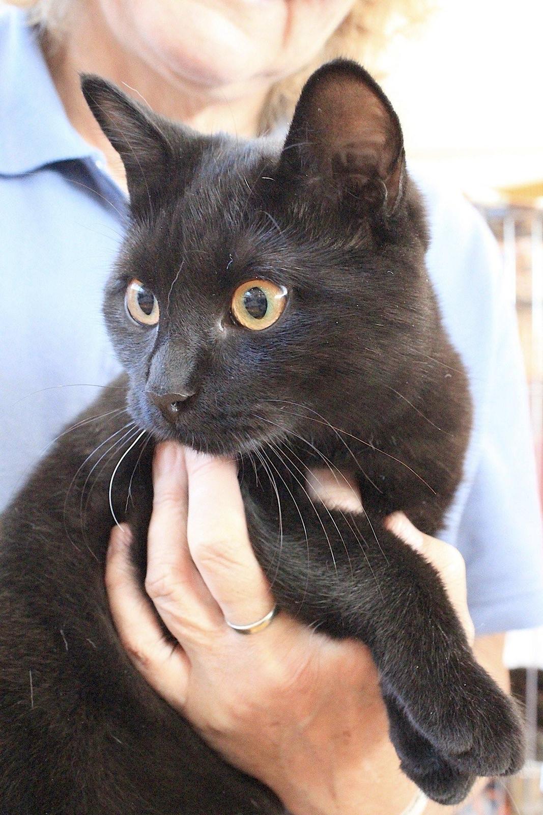 Europé DK*Boholdt Emma Gad billede 6