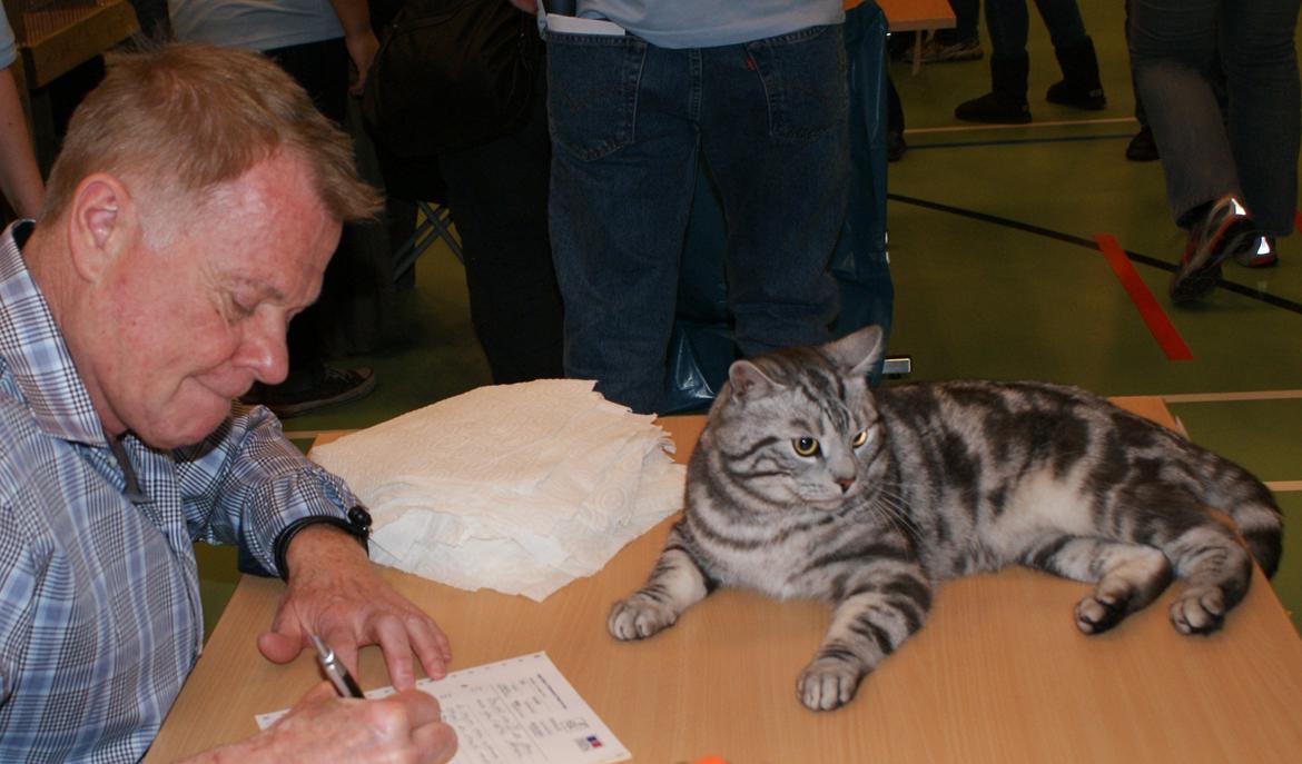 Europé GIC Mumindalens Ikaros billede 6