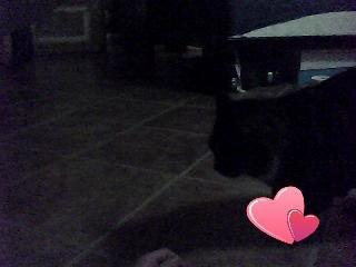 Huskat perle billede 1