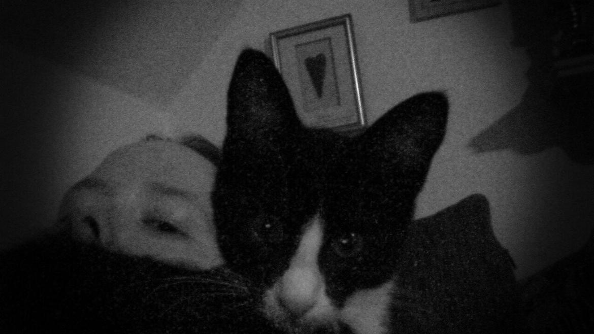 Blanding af racer Diego<3 billede 9