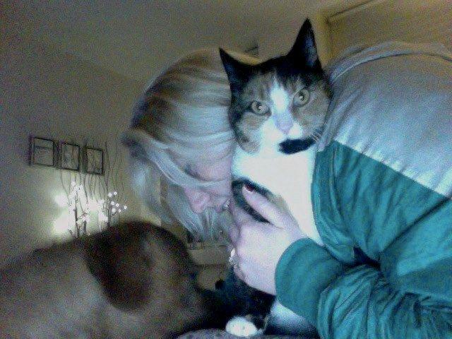 Blanding af racer Musling - Musling, Bailey og jeg, hygger ;P
Musling holder øje med computeren xD billede 10