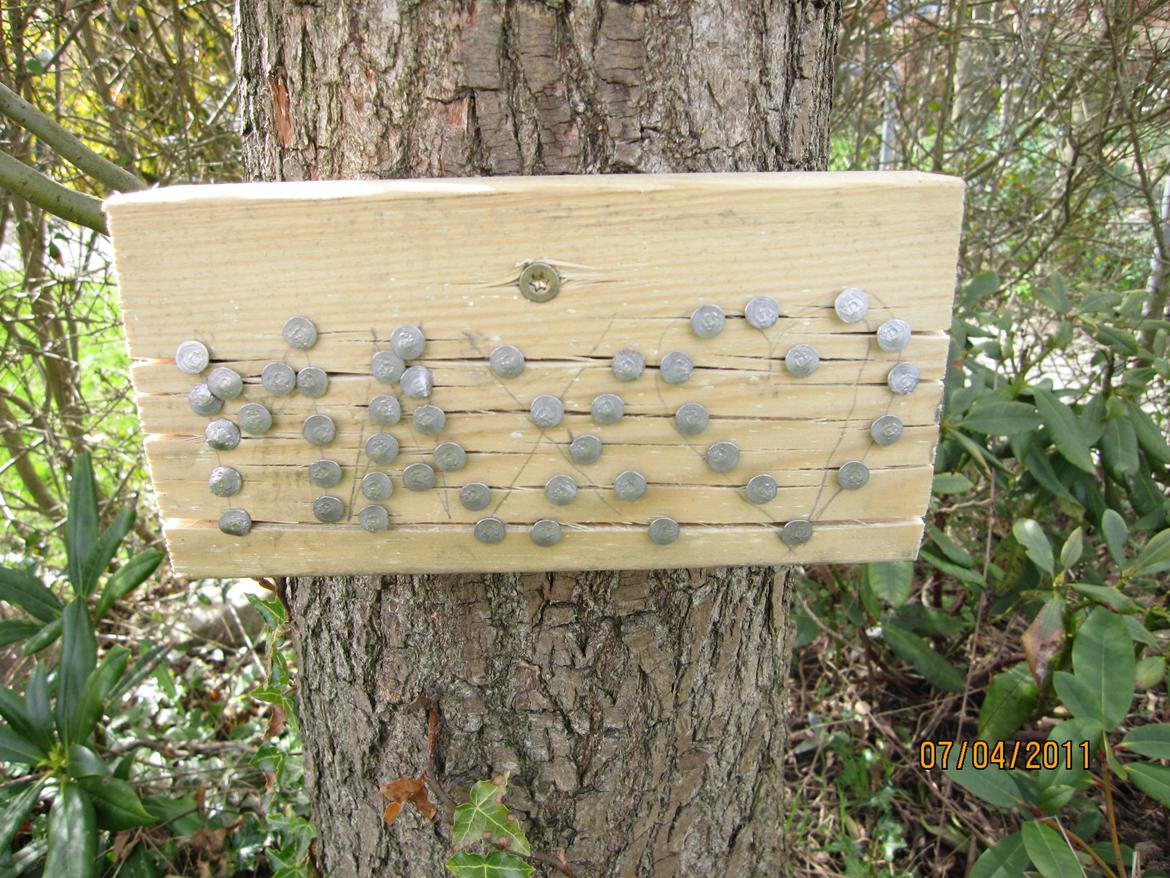 Blanding af racer Max billede 9