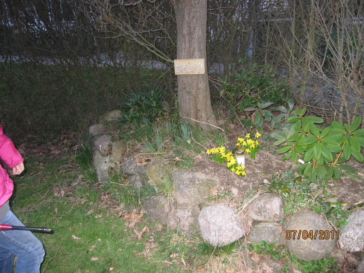 Blanding af racer Max - begravelse billede 12