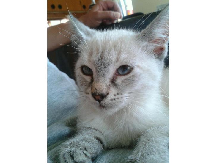 {{currentPhoto.altText}} billede {{currentPhoto.number}}