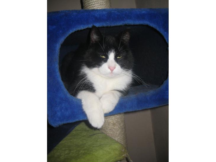 {{currentPhoto.altText}} billede {{currentPhoto.number}}