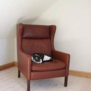 Blanding af racer Jensen