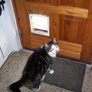 Blanding af racer Jensen