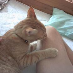 Blanding af racer Mizz <3<3<3<3