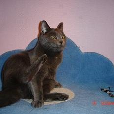 Blanding af racer Mille