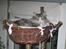 Norsk Skovkat Fluffy - Katten i sin "rede"
